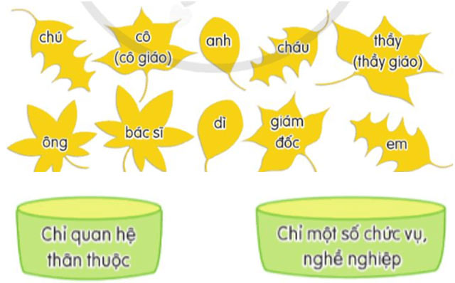 Ôn tập học kì 1 Tiết 3