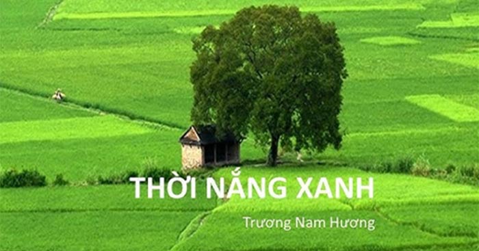 Phân tích bài thơ Thời nắng xanh của Trương Nam Hương Viết bài văn nghị luận phân tích, đánh giá một tác phẩm thơ lớp 10