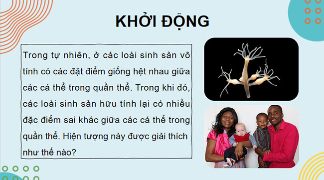 Giáo án PowerPoint Khoa học tự nhiên 9 Bài 43: Di truyền nhiễm sắc thể Giáo án KHTN 9 Chân trời sáng tạo (Word + PPT)