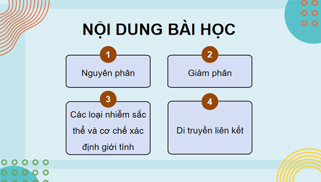 Di truyền nhiễm sắc thể